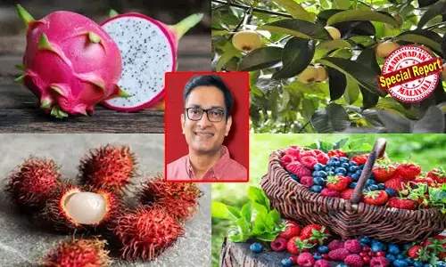 കൃഷി ഇനി സ്വിഗ്ഗിയും ഊബറും പോലെ! യുവാക്കള്‍ക്ക് കൃഷി ചെയ്യാന്‍ ഭൂമിയും വിപണിയും റെഡി; ഡ്രാഗണ്‍ ഫ്രൂട്ടും റംബുട്ടാനും മംഗോസ്റ്റിനും അടക്കം ഉയര്‍ന്ന മൂല്യമുള്ള വിളകള്‍ തരിശുഭൂമിയില്‍ വിളയും; ഡിജിറ്റല്‍ പ്ലാറ്റ്‌ഫോം മാതൃകയില്‍ മണ്ണില്‍ പൊന്നു വിളയിക്കാന്‍ പ്രശാന്ത് ബ്രോയുടെ ആശയം യാഥാര്‍ഥ്യമാകുന്നു; എന്താണ് നാവോ-ധന്‍ പദ്ധതി?