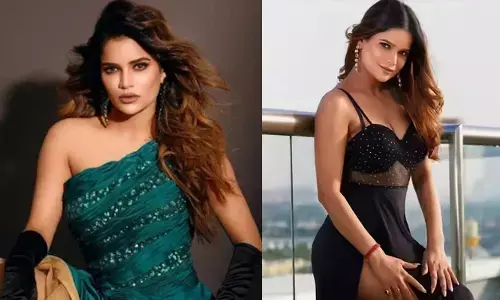 അടിവസ്ത്രം മുതൽ എല്ലാം വാങ്ങിക്കൊടുത്തു, കാണാൻ അത്ര ഭംഗിയില്ലാത്ത അവനെ അണിയിച്ചൊരുക്കി; കാമുകനെ ഒരു ഹീറോയെപ്പോലെ കൊണ്ടുനടന്നു; ഒടുവിൽ കിട്ടിയത് ക്രൂരമർദ്ദനം; വെളിപ്പെടുത്തലുമായി അർച്ചന ഗൗതം