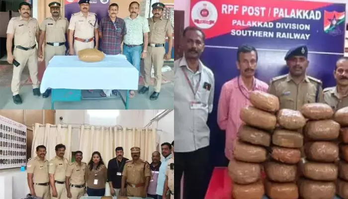 കുതിച്ചെത്തിയ ട്രെയിനുകളെ വെറുതെ വിട്ടില്ല; എക്സൈസിന്റെ മിന്നൽ പരിശോധനയിൽ കള്ളത്തരം പുറത്ത്; പാലക്കാട് ഡിവിഷനിലെ റെയിൽവേ സ്റ്റേഷനുകളിൽ നിന്ന് 59.8 കിലോ കഞ്ചാവ് പിടികൂടി കുതിച്ചെത്തിയ ട്രെയിനുകളെ വെറുതെ വിട്ടില്ല; എക്സൈസിന്റെ മിന്നൽ പരിശോധനയിൽ കള്ളത്തരം പുറത്ത്; പാലക്കാട് ഡിവിഷനിലെ റെയിൽവേ സ്റ്റേഷനുകളിൽ നിന്ന് 59.8 കിലോ കഞ്ചാവ് പിടികൂടി