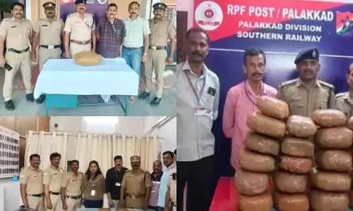 കുതിച്ചെത്തിയ ട്രെയിനുകളെ വെറുതെ വിട്ടില്ല; എക്‌സൈസിന്റെ മിന്നൽ പരിശോധനയിൽ കള്ളത്തരം പുറത്ത്; പാലക്കാട് ഡിവിഷനിലെ റെയിൽവേ സ്റ്റേഷനുകളിൽ നിന്ന് 59.8 കിലോ കഞ്ചാവ് പിടികൂടി