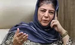 കശ്മീര്‍ വിഷയത്തില്‍ മുസ്ലിം രാജ്യങ്ങളെല്ലാം പാക്കിസ്ഥാനൊപ്പം നിന്നപ്പോള്‍ ഇന്ത്യയെ പിന്തുണച്ചു, എണ്ണ തന്നു; എന്നിട്ടും ഇറാനെ ഇന്ത്യ പിന്തുണച്ചില്ലെന്ന് മെഹ്ബൂബ മുഫ്തി