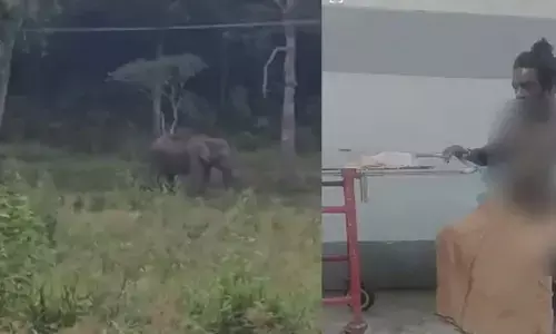 കുളത്തൂപ്പുഴയില്‍ കാട്ടാന ആക്രമണം; തുമ്പികൈയില്‍ ചുഴറ്റി എറിഞ്ഞു; പരുക്കേറ്റ യുവാവ് ചികിത്സയില്‍