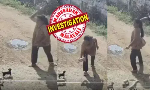 ദേഷ്യത്തിൽ എന്തൊക്കെയോ...പുലമ്പി കൊണ്ട് ഒരു പട്ടിക്കുഞ്ഞിനെ വലിച്ചെറിഞ്ഞു; അത് പിടയുന്നത് കണ്ടതും ഒരെണ്ണത്തിനെ എടുത്ത് അടിച്ചുനുറുക്കി യുവതി; കൊടും ക്രൂരതയ്ക്ക് പിന്നിലെ കാരണം ഇത്