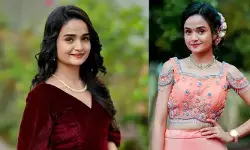 എന്റെ ഫോട്ടോ അല്ലെന്ന് എനിക്ക് ഉറപ്പില്ലേ, പിന്നെന്തിനാ വിഷമിക്കുന്നത്; ആദ്യമായി കോടതിയിൽ കയറുന്നത് അതിനാണ്; മോര്‍ഫ് ചെയ്ത ചിത്രങ്ങള്‍ പ്രചരിപ്പിച്ചതിൽ മറുപടിയുമായി മീനാക്ഷി