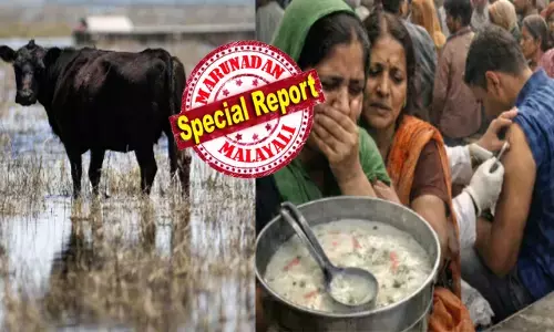 ഭക്ഷണം കഴിക്കാൻ..ഭയങ്കര മടി; പെട്ടെന്ന് വെള്ളം കുടിയും അങ്ങ് നിർത്തി; വായിൽ നിന്ന് ഉമിനീർ വരുന്നത് കണ്ട് വീട്ടുകാർക്ക് പരിഭ്രാന്തി; ഗ്രാമത്തിലെ ഏക ആശ്രയമായ ആ എരുമയുടെ അവസ്ഥ അതിദയനീയം; പിന്നിലെ കാരണം അറിഞ്ഞ നാട്ടുകാർ നേരെ ഓടിയത് ആശുപത്രിയിലേക്ക്; തലയിൽ കൈവച്ച് ഡോക്ടർമാർ