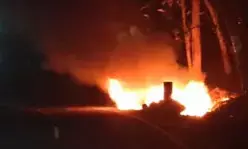 കാട്ടുപന്നി കുറുകെച്ചാടി: നിയന്ത്രണം നഷ്ടമായ ഇലക്ട്രിക് കാര്‍ മതിലില്‍ ഇടിച്ചു കത്തി നശിച്ചു; ഉടമ രക്ഷപ്പെട്ടു