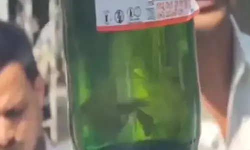 കൊടുംചൂടില്‍ നിന്ന് ആശ്വാസം തേടി ബിയര്‍ വാങ്ങി; ബോട്ടിലില്‍ ജീവനുള്ള മീന്‍; പരാതി ഉണ്ടെങ്കില്‍ ബിയര്‍ കമ്പനിയെ സമീപിക്കണമെന്ന് വൈന്‍ ഷോപ്പ് ജീവനക്കാര്‍