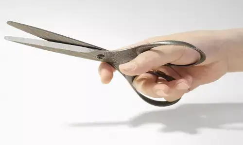 കുടുംബതര്‍ക്കത്തിനിടെ അമ്മായിയമ്മയുടെ മൂക്ക് മരുമകന്‍ കത്രികയ്ക്ക് മുറിച്ചെടുത്തു; മുറിച്ചെടുത്ത മൂക്കിന്റെ ഭാഗവുമായി സ്ഥലത്ത് നിന്നും രക്ഷപ്പെട്ട് യുവാവ്