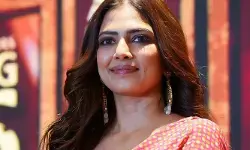 ഞാൻ അങ്ങനെ ഉള്ളൊരു ആൾ അല്ല; പക്ഷെ ചിലർ എനിക്ക് ചെറുപ്പം മുതലേ സിനിമയുമായി ബന്ധമുണ്ടെന്നാണ് കരുതുന്നത്; തുറന്നുപറഞ്ഞ് മാളവിക