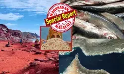 ആ ചുവന്ന മണ്ണ് ചേർക്കുന്നതോടെ മത്തിയുടെ നിറം തന്നെ അസാധാരണമായി മാറും; നല്ല നാടൻ റൊട്ടിയോടൊപ്പം ചേർത്ത് കഴിച്ചാൽ സ്വർഗം കാണും; യുദ്ധം തുടങ്ങിയത് മുതൽ വീണ്ടും ചർച്ചയായ ഹോർമുസ് കടലിടുക്ക്; ദ്വീപിൽ നിന്ന് പുറത്തുവരുന്നത് അതിശയിപ്പിക്കുന്ന കാര്യങ്ങൾ; അറിയാം വിചിത്രമായ മണ്ണിനെ പറ്റി ആ ചുവന്ന മണ്ണ് ചേർക്കുന്നതോടെ മത്തിയുടെ നിറം തന്നെ അസാധാരണമായി മാറും; നല്ല നാടൻ റൊട്ടിയോടൊപ്പം ചേർത്ത് കഴിച്ചാൽ സ്വർഗം കാണും; യുദ്ധം തുടങ്ങിയത് മുതൽ വീണ്ടും ചർച്ചയായ ഹോർമുസ് കടലിടുക്ക്; ദ്വീപിൽ നിന്ന് പുറത്തുവരുന്നത് അതിശയിപ്പിക്കുന്ന കാര്യങ്ങൾ; അറിയാം വിചിത്രമായ മണ്ണിനെ പറ്റി