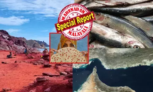 ആ ചുവന്ന മണ്ണ് ചേർക്കുന്നതോടെ മത്തിയുടെ നിറം തന്നെ അസാധാരണമായി മാറും; നല്ല നാടൻ റൊട്ടിയോടൊപ്പം ചേർത്ത് കഴിച്ചാൽ സ്വർഗം കാണും; യുദ്ധം തുടങ്ങിയത് മുതൽ വീണ്ടും ചർച്ചയായ ഹോർമുസ് കടലിടുക്ക്; ദ്വീപിൽ നിന്ന് പുറത്തുവരുന്നത് അതിശയിപ്പിക്കുന്ന കാര്യങ്ങൾ; അറിയാം വിചിത്രമായ മണ്ണിനെ പറ്റി