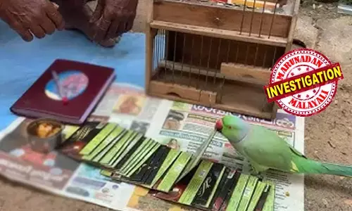 വഴിയരികില്‍ തത്തയുമായി കാത്തിരുന്നയാള്‍;  മുഖം നോക്കി ലക്ഷണം പറയാമെന്നും ജീവിതത്തിലെ പ്രതിസന്ധി തീരാന്‍ പ്രത്യേക പൂജ വേണമെന്നും വിശ്വസിപ്പിച്ചു;  ഇന്‍കംടാക്സ് ഉദ്യോഗസ്ഥന് നഷ്ടമായത് 31 ലക്ഷം രൂപ