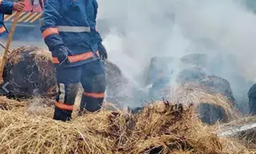 പിക്കപ്പ് വാനിൽ കൊണ്ടുപോയ വൈക്കോൽ കെട്ടിന് തീപ്പിടിച്ചു; വൈദ്യുത ലൈനിൽ തട്ടി അപകടം; കൊല്ലത്ത് ഒഴിവായത് വൻ ദുരന്തം