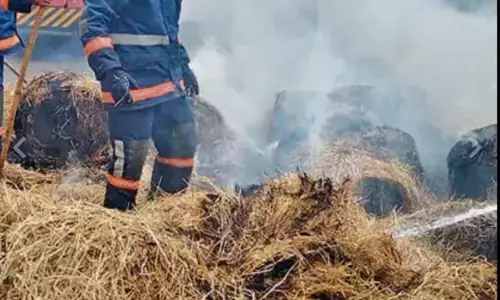 പിക്കപ്പ് വാന്‍ വൈദ്യുത ലൈനില്‍ തട്ടി; വൈക്കോല്‍ കെട്ടിന് തീപിടിച്ചു; വന്‍ ദുരന്തം  ഒഴിവായത് ഡ്രൈവറുടെ സമയോചിതമായ ഇടപെടലില്‍