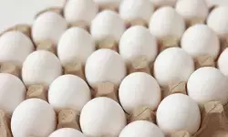 ഏപ്രിൽ മാസം മുതൽ മുട്ടകളിലും എക്സ്പിയറി ഡേറ്റ് രേഖപ്പെടുത്തണം; അല്ലെങ്കിൽ പിഴ ചുമത്തും; യുപിയിൽ പുതിയ ഭക്ഷ്യസുരക്ഷാ നിയമം