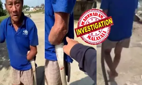 ഒട്ടും ഭയമില്ലാതെ വലിച്ചുകൊണ്ട് പോകുന്നത് നല്ല ആരോഗ്യമുള്ള വില്ലനെ; വഴിയിലൂടെ ഒരാളുടെ മാസ്സ് നടത്തം കണ്ട് അമ്പരന്ന് നാട്ടുകാർ; ഉഗ്ര വിഷമുള്ള മൂർഖൻ പാമ്പിനെ കൊന്ന് മുട്ടുകൾക്കിടയിൽ തിരുകിപ്പിടിച്ച് നടന്നത് ഒരൊറ്റ ആവശ്യത്തിന്; അസാമാന്യ ധൈര്യത്തിൽ സംഭവിച്ചത്