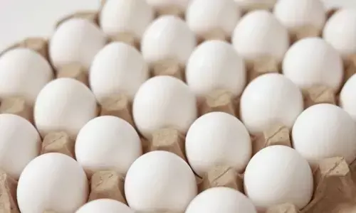 ഏപ്രിൽ മാസം മുതൽ മുട്ടകളിലും എക്സ്പിയറി ഡേറ്റ് രേഖപ്പെടുത്തണം; അല്ലെങ്കിൽ പിഴ ചുമത്തും; യുപിയിൽ പുതിയ ഭക്ഷ്യസുരക്ഷാ നിയമം