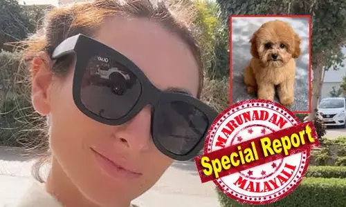 യുദ്ധം വലയ്ക്കുന്ന ദുബായില്‍ വളര്‍ത്തുനായ കുടുങ്ങി; രക്ഷിക്കാന്‍ സ്വകാര്യ ജെറ്റില്‍ സൗജന്യ യാത്ര വാഗ്ദാനം ചെയ്ത് ലൂയിസ സിസ്മാന്‍; ഒടുവില്‍ നിരാശ