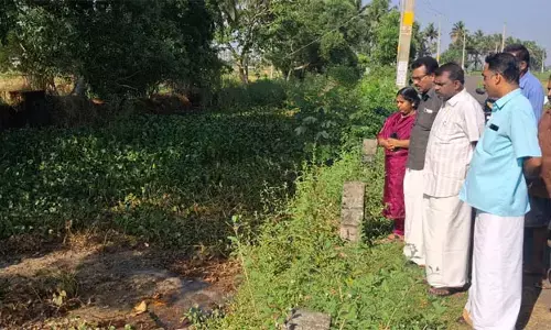 ദയനീയം ഈ കാഴ്ച: തോട്ടില്‍ കക്കൂസ് മാലിന്യം ഒഴുക്കി: തിരുവല്ലയില്‍ താറാവുകള്‍ കൂട്ടത്തോടെ ചത്തൊടുങ്ങി