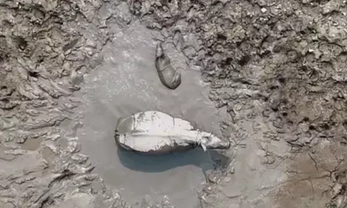 തന്റെ പൊന്നോമനയ്ക്ക് കാവൽ നിൽക്കുന്ന അമ്മ; ചളി വെള്ളത്തിൽ ഉരുണ്ട് മറിഞ്ഞ് കളിക്കുന്ന കുഞ്ഞ് കണ്ടാമൃഗം; കൃത്യമായി നിരീക്ഷിച്ച് വനംവകുപ്പ്; ഹൃദ്യമായ ചിത്രം പുറത്ത്