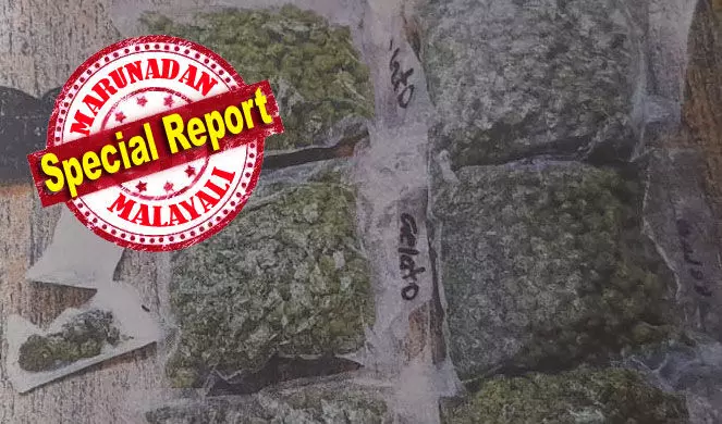 ചൈനയിലെ വുഹാന് യൂണിവേഴ്സിറ്റിയില് നിന്ന് എംബിബിഎസ് പൂര്ത്തിയാക്കിയവര്; തായ്ലണ്ടില് നിന്നും കഞ്ചാവ് വാങ്ങി ബാങ്കോക്ക് വഴി സിങ്കപ്പൂരിലെത്തി; ജൂനിയറായ ലിബന്ദാസിനെ കൂടെ നിര്ത്തി തിരുവനന്തപുരം വഴി കടത്തിയത് 1.86 കോടി വിലമതിക്കുന്ന മുന്തിയ ഇനം ഹൈബ്രിഡ് കഞ്ചാവ്; തിരുവനന്തപുരത്ത് ഡോക്ടര്മാര് കുടുങ്ങിയത് വെറുമൊരു സംശയത്തില്; ബോസിനെ കണ്ടെത്തുമോ കസ്റ്റംസ്? ചൈനയിലെ വുഹാന് യൂണിവേഴ്സിറ്റിയില് നിന്ന് എംബിബിഎസ് പൂര്ത്തിയാക്കിയവര്; തായ്ലണ്ടില് നിന്നും കഞ്ചാവ് വാങ്ങി ബാങ്കോക്ക് വഴി സിങ്കപ്പൂരിലെത്തി; ജൂനിയറായ ലിബന്ദാസിനെ കൂടെ നിര്ത്തി തിരുവനന്തപുരം വഴി കടത്തിയത് 1.86 കോടി വിലമതിക്കുന്ന മുന്തിയ ഇനം ഹൈബ്രിഡ് കഞ്ചാവ്; തിരുവനന്തപുരത്ത് ഡോക്ടര്മാര് കുടുങ്ങിയത് വെറുമൊരു സംശയത്തില്; ബോസിനെ കണ്ടെത്തുമോ കസ്റ്റംസ്?