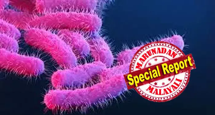 കോഴിക്കോട്ട് ഇരട്ട പ്രഹരം; പക്ഷിപ്പനിക്കു പിന്നാലെ ഷിഗല്ല ഭീതിയും, പെരുവയലില് ഉറവിടം കണ്ടെത്താനായില്ല; 51 പേര് നിരീക്ഷണത്തില്; തിരഞ്ഞെടുപ്പ് കാലത്ത് രോഗ ഭീതിയില് ഒരു ഗ്രാമം; ആനക്കുഴിക്കരയില് ആശങ്ക ശക്തം; ഉത്തരമില്ലാതെ ആരോഗ്യ സംവിധാനങ്ങള് കോഴിക്കോട്ട് ഇരട്ട പ്രഹരം; പക്ഷിപ്പനിക്കു പിന്നാലെ ഷിഗല്ല ഭീതിയും, പെരുവയലില് ഉറവിടം കണ്ടെത്താനായില്ല; 51 പേര് നിരീക്ഷണത്തില്; തിരഞ്ഞെടുപ്പ് കാലത്ത് രോഗ ഭീതിയില് ഒരു ഗ്രാമം; ആനക്കുഴിക്കരയില് ആശങ്ക ശക്തം; ഉത്തരമില്ലാതെ ആരോഗ്യ സംവിധാനങ്ങള്