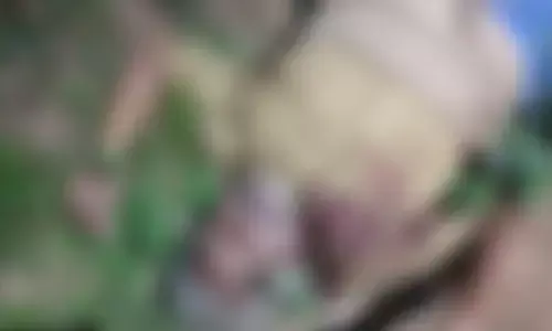 ഉച്ചയ്ക്ക് മുതൽ കാണാതായി; പിന്നാലെ നടത്തിയ തിരച്ചലിൽ ദാരുണ കാഴ്ച; മൂന്നാറിൽ വിറക് ശേഖരിക്കാൻ പോയ ആള് മരിച്ച നിലയിൽ; കാട്ടാന ആക്രമണമെന്ന് സംശയം