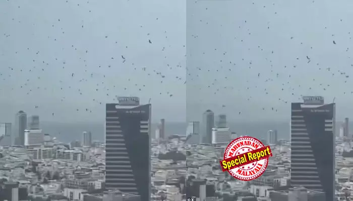 ദൈവത്തിന്റെ വലിയ അത്താഴത്തിനായി! ബൈബിള് പ്രവചനം സത്യമാകുന്നുവോ? ടെല് അവീവിലെ അസ്രിയേലി ടവറുകള്ക്ക് മുകളില് ആകാശത്തെ കറുപ്പണിയിച്ച് കാക്കക്കൂട്ടം! ഇസ്രയേലില് വരാനിരിക്കുന്നത് മഹാവിപത്തോ അതോ വെറും പ്രകൃതി പ്രതിഭാസമോ? സമൂഹമാധ്യമങ്ങളില് ഭീതി പടര്ത്തി ഭയാനകമായ പ്രവചനങ്ങള് ദൈവത്തിന്റെ വലിയ അത്താഴത്തിനായി! ബൈബിള് പ്രവചനം സത്യമാകുന്നുവോ? ടെല് അവീവിലെ അസ്രിയേലി ടവറുകള്ക്ക് മുകളില് ആകാശത്തെ കറുപ്പണിയിച്ച് കാക്കക്കൂട്ടം! ഇസ്രയേലില് വരാനിരിക്കുന്നത് മഹാവിപത്തോ അതോ വെറും പ്രകൃതി പ്രതിഭാസമോ? സമൂഹമാധ്യമങ്ങളില് ഭീതി പടര്ത്തി ഭയാനകമായ പ്രവചനങ്ങള്