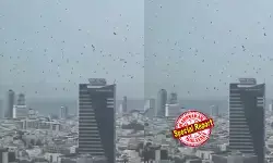 ദൈവത്തിന്റെ വലിയ അത്താഴത്തിനായി! ബൈബിള്‍ പ്രവചനം സത്യമാകുന്നുവോ? ടെല്‍ അവീവിലെ അസ്രിയേലി ടവറുകള്‍ക്ക് മുകളില്‍ ആകാശത്തെ കറുപ്പണിയിച്ച് കാക്കക്കൂട്ടം! ഇസ്രയേലില്‍ വരാനിരിക്കുന്നത് മഹാവിപത്തോ അതോ വെറും പ്രകൃതി പ്രതിഭാസമോ?  സമൂഹമാധ്യമങ്ങളില്‍ ഭീതി പടര്‍ത്തി ഭയാനകമായ പ്രവചനങ്ങള്‍