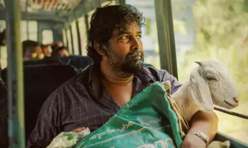 നടൻ ജോജു ജോർജ് പ്രധാന വേഷത്തിലെത്തുന്ന ചിത്രം അജ:സുന്ദരി; പുതിയ പോസ്റ്റർ പുറത്തുവിട്ട് അണിയറ പ്രവർത്തകർ