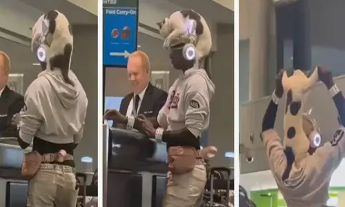 തലയിൽ പൂച്ചയെ വച്ച് യുവതി എയർപോർട്ടിൽ; എല്ലാം കണ്ട് അമ്പരന്ന് ആളുകൾ; ബാഗേജ് ഫീ ഒഴിവാക്കാൻ ഇവർ കാണിച്ചത്