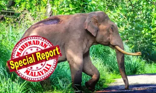 വീടിനു മുറ്റത്ത് നില്‍ക്കുകയായിരുന്ന തങ്കമ്മയെ കാട്ടാന തുമ്പിക്കൈ കൊണ്ട് കോരിയെടുത്ത് ദൂരേക്ക് എറിഞ്ഞു; വയനാട്ടില്‍ വീണ്ടും കാട്ടാന ആക്രമണം: വൃദ്ധയ്ക്ക് ഗുരുതര പരിക്ക്; മുട്ടിക്കൊമ്പനെ പിടികൂടാനുള്ള ദൗത്യം തുടരുന്നു; വേനല്‍ കടുത്തതോടെ വനമേഖലയില്‍ നിന്ന് കാട്ടാനകള്‍ വ്യാപകമായി കൃഷിയിടങ്ങളിലേക്കും ജനവാസകേന്ദ്രങ്ങളിലേക്കും ഇറങ്ങുന്നു; മലയോരം ഭീഷണിയില്‍