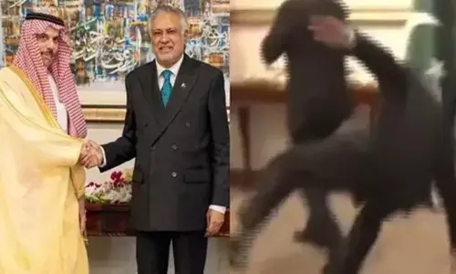 ഈജിപ്ത് വിദേശകാര്യമന്ത്രിയെ സ്വീകരണത്തിനിടെ കാല് തെന്നി വീണു; പാക് ഉപപ്രധാനമന്ത്രി ഇഷാഖ് ദാറിന് പരുക്കേറ്റു