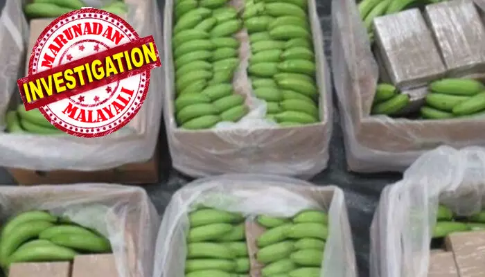 തുറമുഖത്ത് വന്നിറങ്ങിയത് ടൺ കണക്കിന് വാഴപ്പഴം; ബോക്സുകൾ നിറയെ നല്ല പച്ചപ്പും അസാധാരണ തിളക്കവും; ഇടയ്ക്ക് ഓഫീസർമാർക്ക് തോന്നിയ സംശയം; പരിശോധനയിൽ ഞെട്ടൽ തുറമുഖത്ത് വന്നിറങ്ങിയത് ടൺ കണക്കിന് വാഴപ്പഴം; ബോക്സുകൾ നിറയെ നല്ല പച്ചപ്പും അസാധാരണ തിളക്കവും; ഇടയ്ക്ക് ഓഫീസർമാർക്ക് തോന്നിയ സംശയം; പരിശോധനയിൽ ഞെട്ടൽ