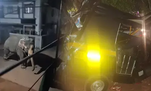 കണ്ണാടിപ്പറമ്പില്‍ ഉത്സവത്തിനിടെ ആനയിടഞ്ഞു; വാഹനങ്ങള്‍ തകര്‍ത്തു, അഞ്ചു കിലോമീറ്ററോളം വിരണ്ടോടി; നാടിനെ വിറപ്പിച്ച് കര്‍ണ്ണന്‍