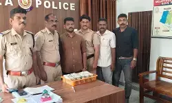 രേഖകളില്ലാത്ത 19 ലക്ഷവുമായി കൊടുവള്ളി സ്വദേശി മേലാറ്റൂരില്‍ പിടിയില്‍; സ്വകാര്യ ബസില്‍ കടത്താന്‍ ശ്രമിച്ച പണം പോലീസ് പിടികൂടി