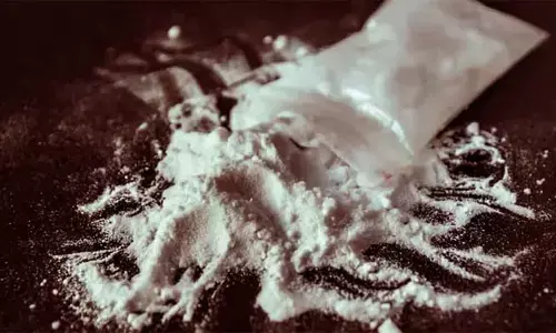 ഓപ്പറേഷന്‍ ഡി - ഹണ്ട്: സംസ്ഥാന വ്യാപക പരിശോധനയില്‍ 74 പേര്‍ അറസ്റ്റില്‍; വിവിധതരത്തിലുള്ള നിരോധിത മയക്കുമരുന്ന് കൈവശം വച്ചതിന് 59 കേസുകള്‍ രജിസ്റ്റര്‍ ചെയ്തു