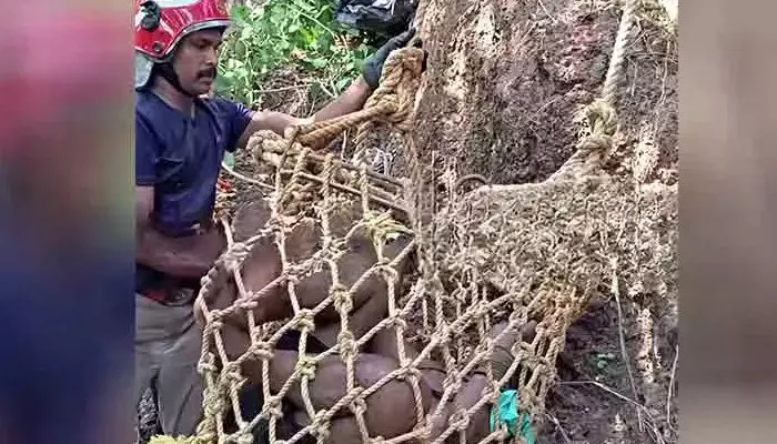 സെല്ഫി എടുക്കാനുള്ള ശ്രമത്തിനിടെ വര്ക്കല ഹെലിപാഡ് ക്ലിഫില് നിന്നും യുവാവ് 60 അടി താഴ്ചയില് വീണു സെല്ഫി എടുക്കാനുള്ള ശ്രമത്തിനിടെ വര്ക്കല ഹെലിപാഡ് ക്ലിഫില് നിന്നും യുവാവ് 60 അടി താഴ്ചയില് വീണു