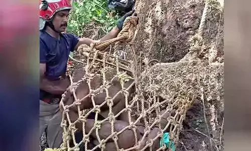 സെല്ഫി എടുക്കാനുള്ള ശ്രമത്തിനിടെ വര്ക്കല ഹെലിപാഡ് ക്ലിഫില് നിന്നും യുവാവ് 60 അടി താഴ്ചയില് വീണു സെല്ഫി എടുക്കാനുള്ള ശ്രമത്തിനിടെ വര്ക്കല ഹെലിപാഡ് ക്ലിഫില് നിന്നും യുവാവ് 60 അടി താഴ്ചയില് വീണു