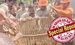 വിവാഹം ക്ഷണിക്കാനെത്തി; വളര്ത്തുനായയെ പേടിച്ച് ഓടുന്നതിനിടെ കിണറ്റില് വീണ വയോധികനെ ഫയര് ഫോഴ്സ് രക്ഷപ്പെടുത്തി വിവാഹം ക്ഷണിക്കാനെത്തി; വളര്ത്തുനായയെ പേടിച്ച് ഓടുന്നതിനിടെ കിണറ്റില് വീണ വയോധികനെ ഫയര് ഫോഴ്സ് രക്ഷപ്പെടുത്തി