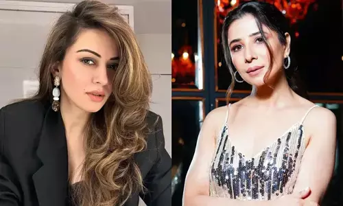 കടം നൽകിയ പണം തിരികെ ചോദിച്ചപ്പോൾ പീഡനാരോപണം; മുൻ ഭർത്താവിന്റെ സഹോദരിക്കെതിരെ 2 കോടിയുടെ മാനനഷ്ടക്കേസുമായി ഹൻസിക മോട്‌വാനി; പരസ്യമായി മാപ്പ് പറയണമെന്നും ആവശ്യം