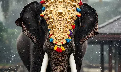 പെട്ടെന്ന് പറമ്പില്‍ തളച്ചിരുന്ന ആനയുടെ ആക്രമണം; പരിക്കേറ്റ് ചികിത്സയിലായിരുന്ന രണ്ടാം പാപ്പാന് ദാരുണാന്ത്യം