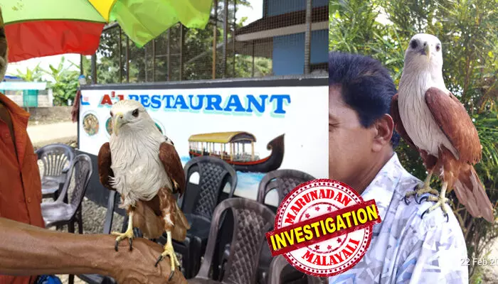 ആലപ്പുഴയിലെ റസ്റ്റോറന്റുകളില് കൃഷ്ണപ്പരുന്ത് പ്രദര്ശന വസ്തു; ഭക്ഷണം കഴിക്കാനെത്തുന്നവര്ക്ക് വേണ്ടി സെല്ഫിക്ക് പോസ് ചെയ്യും; പെറ്റ ഇന്ത്യ പ്രവര്ത്തകര് മുന്നിട്ടിറങ്ങി; ഷെഡ്യൂള് ഒന്നില്പ്പെട്ട പക്ഷികളെ വനംവകുപ്പ് ഏറ്റെടുത്തു ആലപ്പുഴയിലെ റസ്റ്റോറന്റുകളില് കൃഷ്ണപ്പരുന്ത് പ്രദര്ശന വസ്തു; ഭക്ഷണം കഴിക്കാനെത്തുന്നവര്ക്ക് വേണ്ടി സെല്ഫിക്ക് പോസ് ചെയ്യും; പെറ്റ ഇന്ത്യ പ്രവര്ത്തകര് മുന്നിട്ടിറങ്ങി; ഷെഡ്യൂള് ഒന്നില്പ്പെട്ട പക്ഷികളെ വനംവകുപ്പ് ഏറ്റെടുത്തു