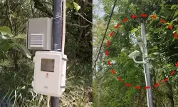 മാലിന്യം തള്ളുന്നവരെ പിടിക്കാൻ വെച്ച ക്യാമറകൾ കള്ളൻമാർ കൊണ്ടുപോയി; മംഗലപുരത്ത് പഞ്ചായത്തിന് ലക്ഷങ്ങളുടെ നഷ്ടം; പിന്നിൽ മാലിന്യ ലോബിയെന്ന് സംശയം മാലിന്യം തള്ളുന്നവരെ പിടിക്കാൻ വെച്ച ക്യാമറകൾ കള്ളൻമാർ കൊണ്ടുപോയി; മംഗലപുരത്ത് പഞ്ചായത്തിന് ലക്ഷങ്ങളുടെ നഷ്ടം; പിന്നിൽ മാലിന്യ ലോബിയെന്ന് സംശയം