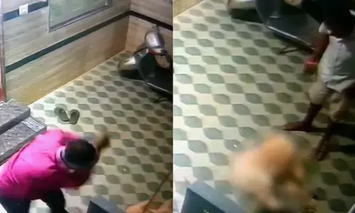 ഒരൊറ്റ അടിയിൽ കിറുങ്ങി വീണു! സ്വന്തം ഭാര്യയെ നോക്കി കുരച്ചത് ഇഷ്ടപ്പെട്ടില്ല; കലി കയറി അയൽവാസിയുടെ നായയെ അടിച്ചുനുറുക്കി; സംഭവം ബെംഗളൂരുവിൽ