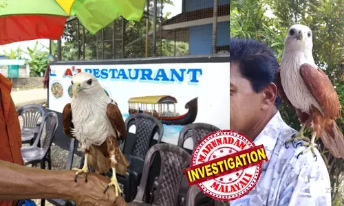 ആലപ്പുഴയിലെ റസ്റ്റോറന്റുകളില്‍ കൃഷ്ണപ്പരുന്ത് പ്രദര്‍ശന വസ്തു; ഭക്ഷണം കഴിക്കാനെത്തുന്നവര്‍ക്ക് വേണ്ടി സെല്‍ഫിക്ക് പോസ് ചെയ്യും; പെറ്റ ഇന്ത്യ പ്രവര്‍ത്തകര്‍ മുന്നിട്ടിറങ്ങി; ഷെഡ്യൂള്‍ ഒന്നില്‍പ്പെട്ട പക്ഷികളെ വനംവകുപ്പ് ഏറ്റെടുത്തു