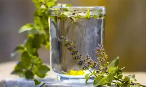 തിളച്ച വെള്ളത്തിൽ തുളസിയിട്ട് വെറും വയറ്റിൽ കുടിച്ചുനോക്കൂ! ഗുണങ്ങൾ ഒരുപാട് ഉണ്ട്; അറിയാം