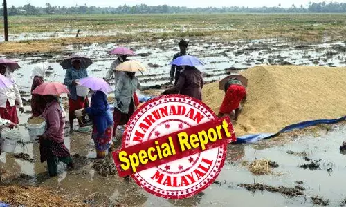 വേനല്‍മഴയില്‍ പാടവരമ്പത്ത് പ്ലാസ്റ്റിക് ഷീറ്റിനടിയില്‍ നെല്ല് സംരക്ഷിക്കാന്‍ ഉറക്കമിളച്ച് കാവലിരിക്കുന്ന കര്‍ഷകന്‍; തിരഞ്ഞെടുപ്പ് കഴിഞ്ഞതോടെ മില്ലുടമകള്‍ക്ക് കര്‍ഷകരെ ചൂഷണം ചെയ്യാന്‍ അവസരമൊരുക്കുന്നത് ആര്? കൊള്ളയടിച്ച് മില്ലുടമകളും ഉദ്യോഗസ്ഥരും; ഈ കൊയ്ത്തുകാലം അപ്പര്‍ കുട്ടനാടിന് കണ്ണീര്‍ക്കാലം