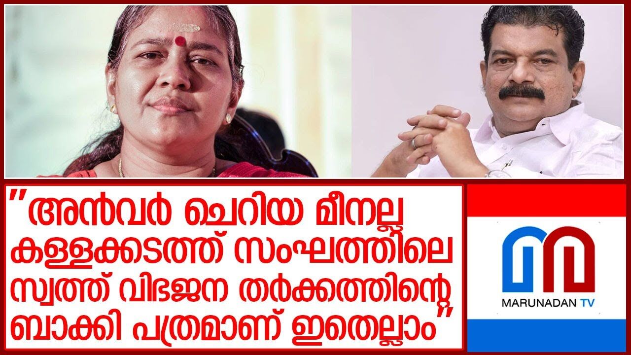 പിവി അന്വറിനെതിരെ ശോഭ സുരേന്ദ്രന് പിവി അന്വറിനെതിരെ ശോഭ സുരേന്ദ്രന്