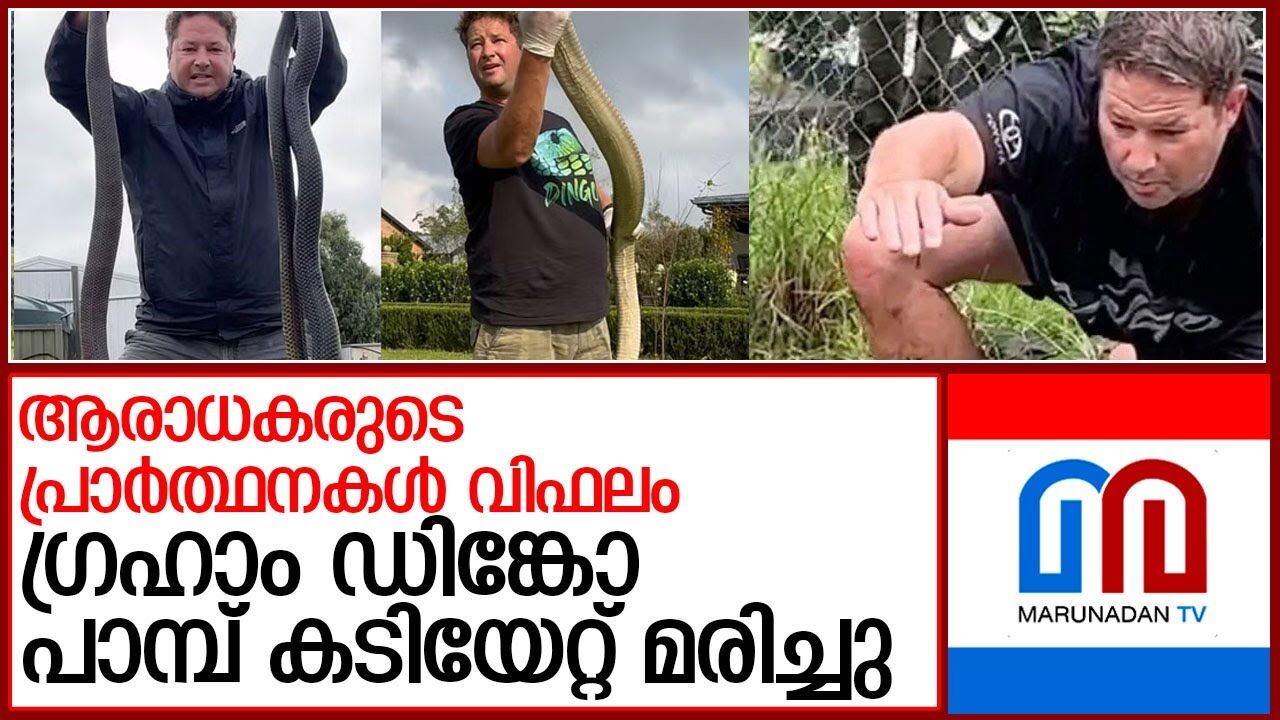 ദക്ഷിണാഫ്രിക്കയുടെ  സ്റ്റീവ് ഇവ്റിന് ഗ്രഹാം ഡിങ്കോ പാമ്പ് കടിയേറ്റ് മരിച്ചു l ദക്ഷിണാഫ്രിക്കയുടെ  സ്റ്റീവ് ഇവ്റിന് ഗ്രഹാം ഡിങ്കോ പാമ്പ് കടിയേറ്റ് മരിച്ചു l